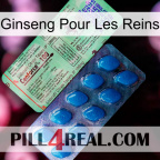 Ginseng For Kidney new02